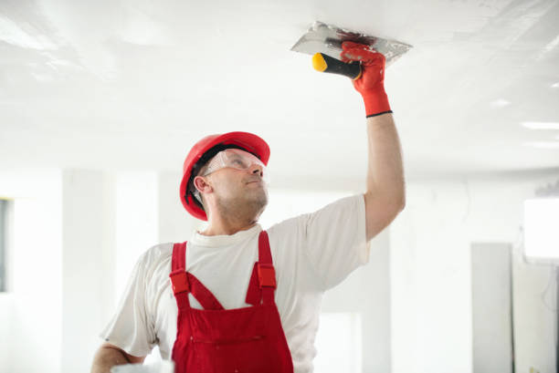 Best Mold Prevention Services  in Lookout Mountain, TN