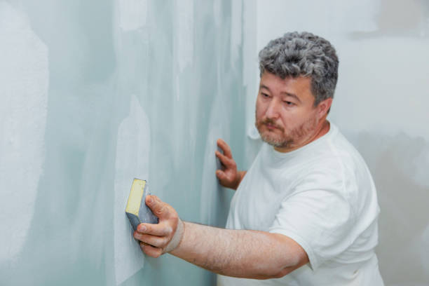 Best Mold Odor Removal Services  in Lookout Mountain, TN